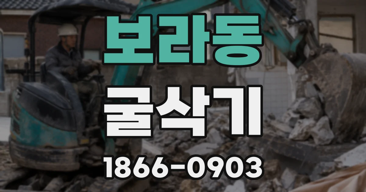 보라동 굴삭기