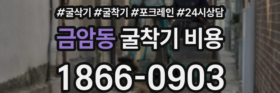 금암동 굴착기 비용