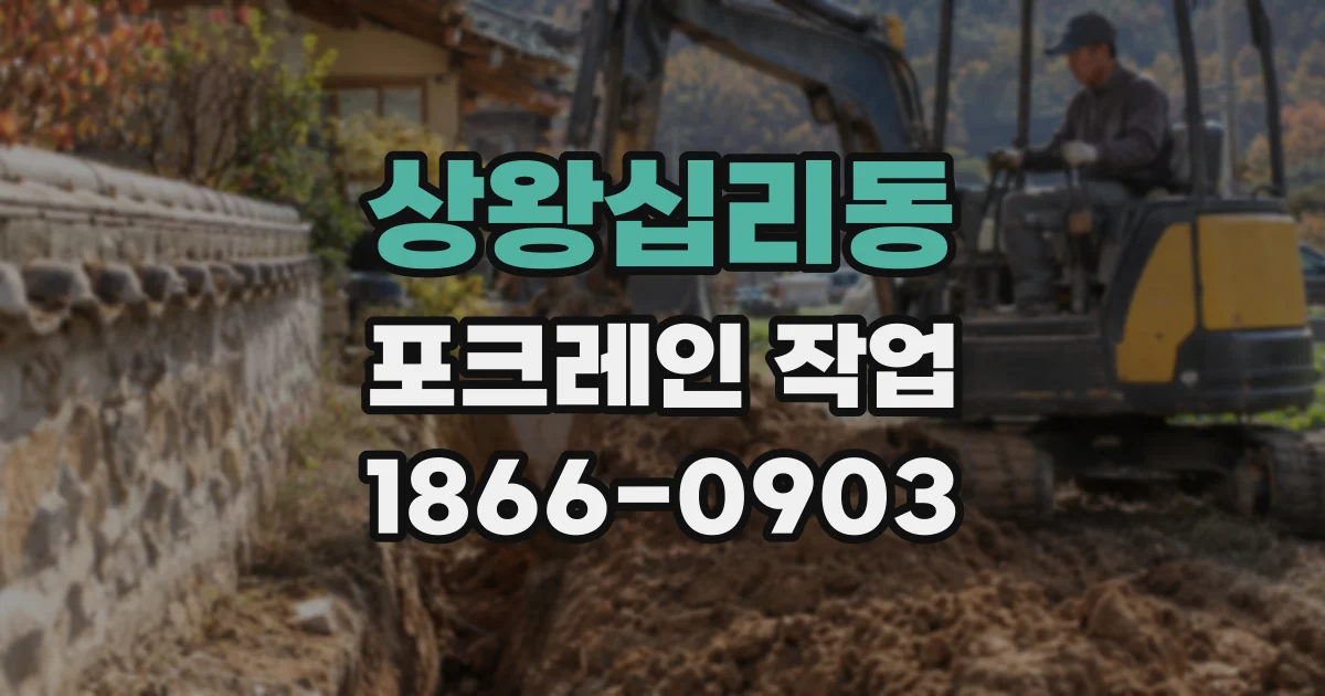 상왕십리동 포크레인 작업
