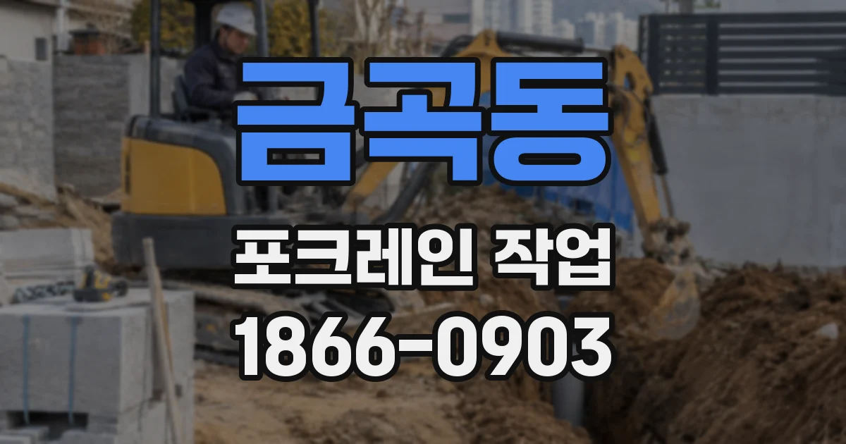 금곡동 포크레인 작업