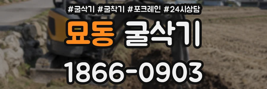 묘동 굴삭기