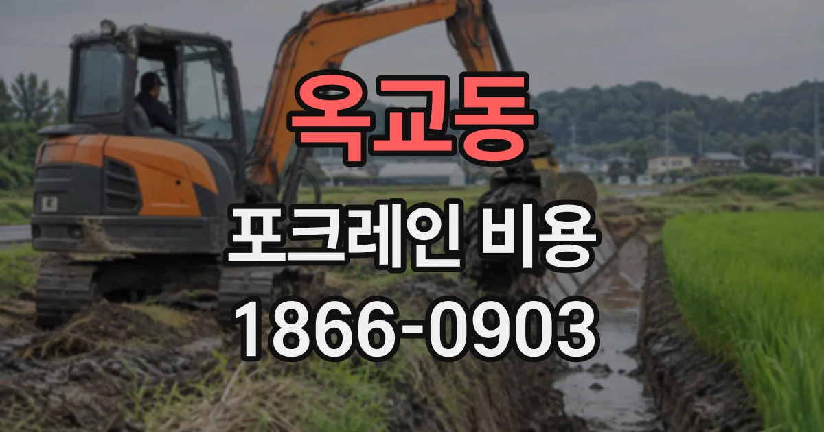 옥교동 포크레인비용