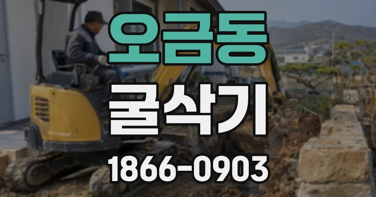 오금동 굴삭기
