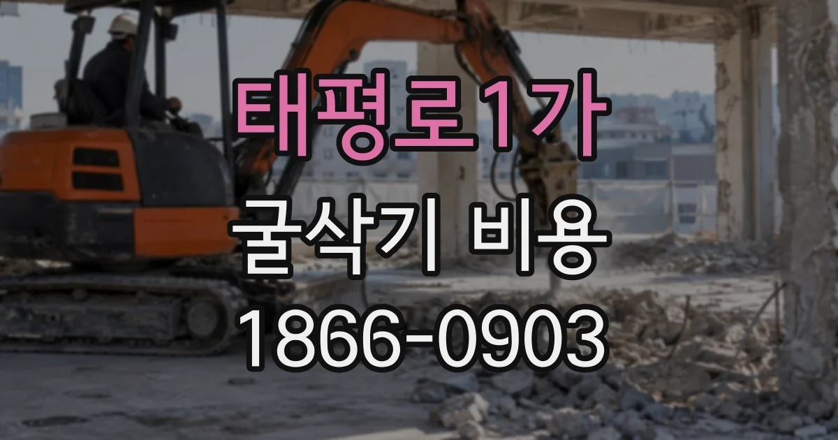 태평로1가 굴삭기비용