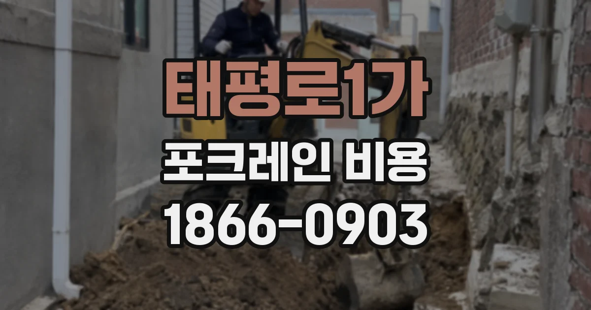 태평로1가 포크레인 비용