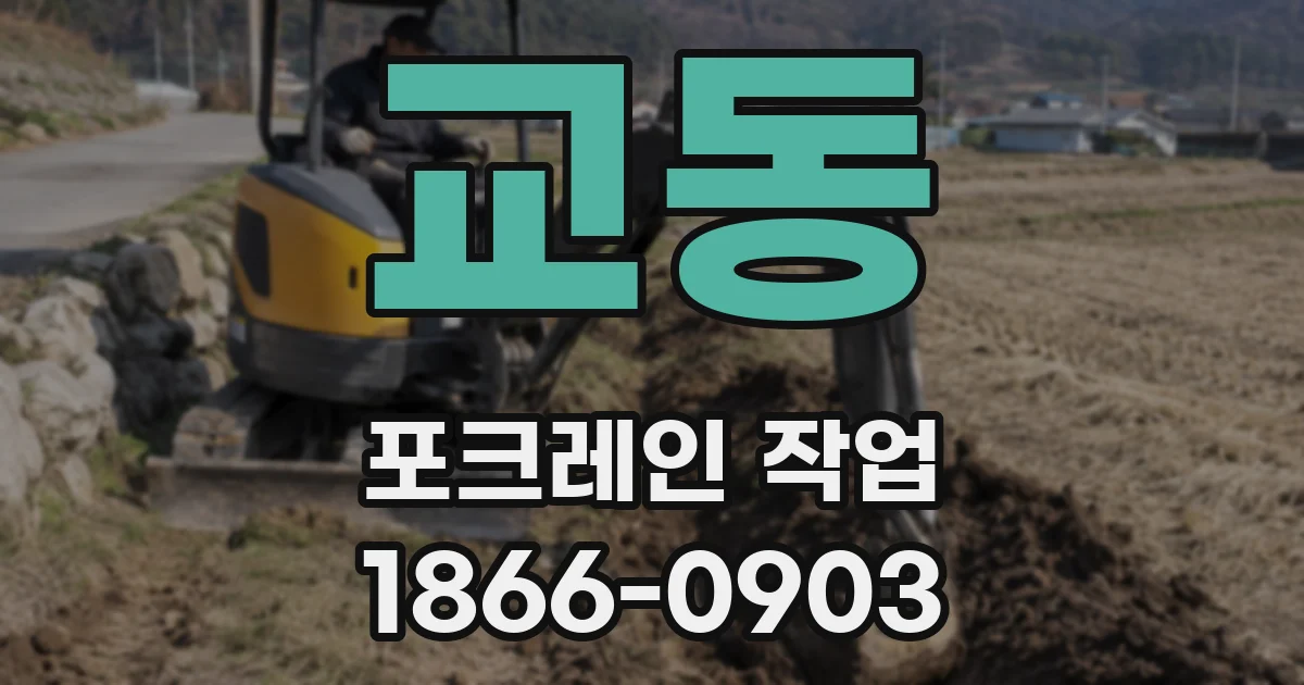 교동 포크레인 작업
