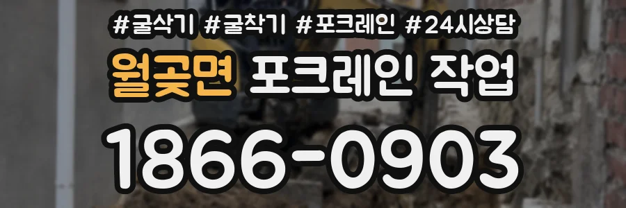 월곶면 포크레인 작업