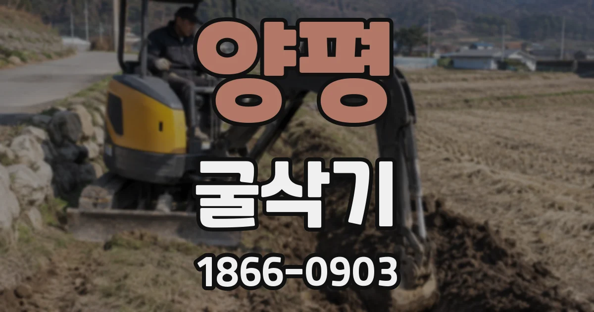 양평 굴삭기
