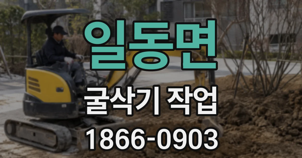 일동면 굴삭기 작업
