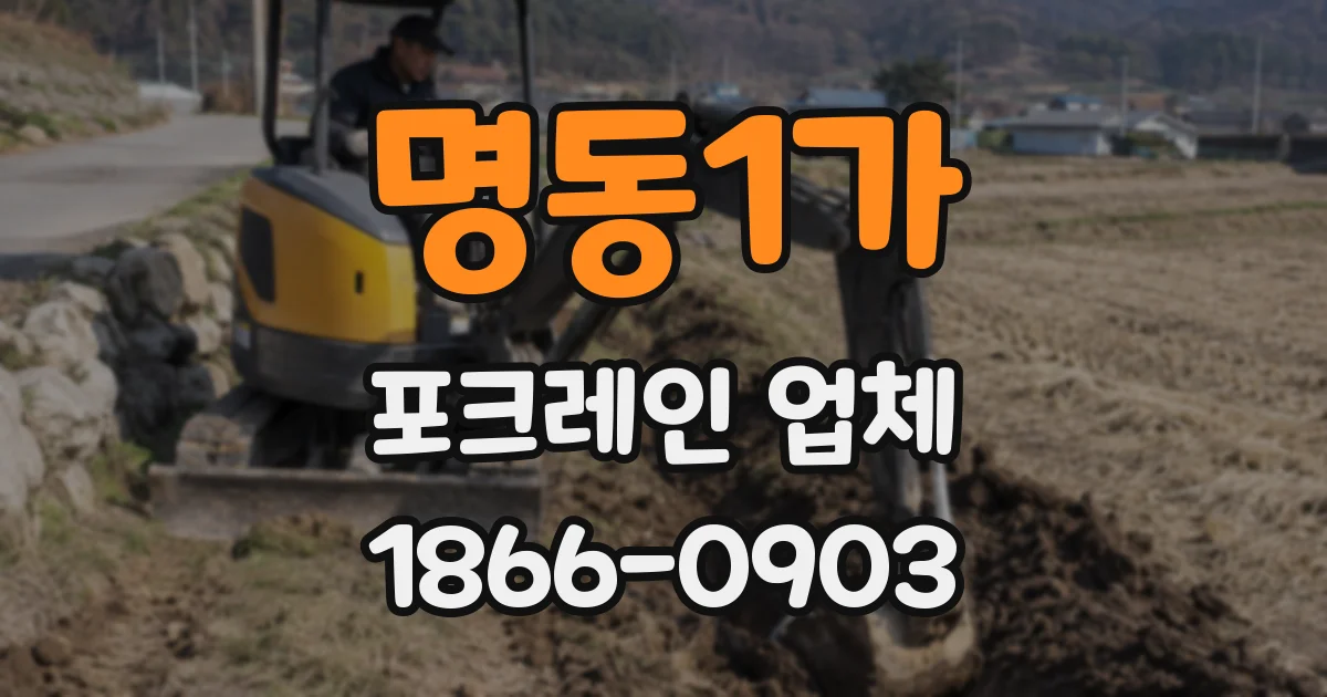 명동1가 포크레인 업체