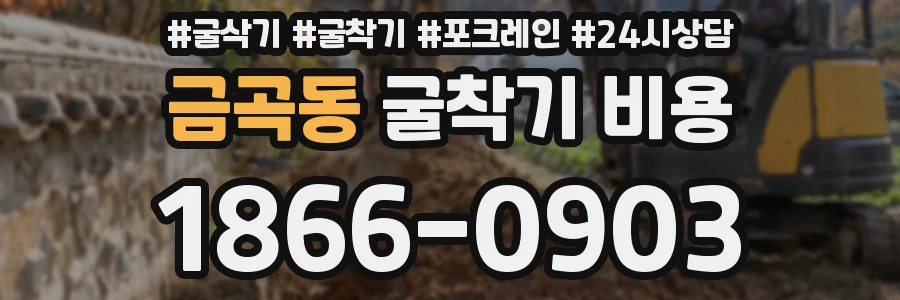 금곡동 굴착기 비용
