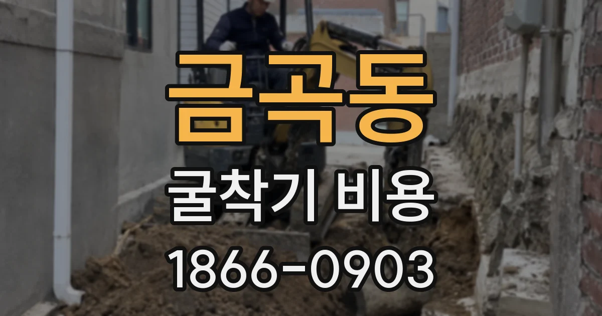금곡동 굴착기 비용