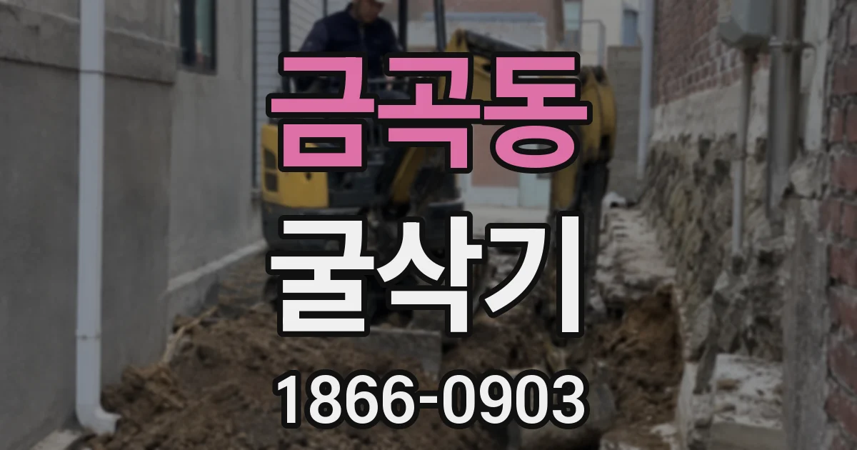 금곡동 굴삭기