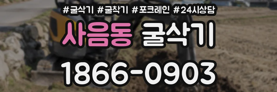 사음동 굴삭기