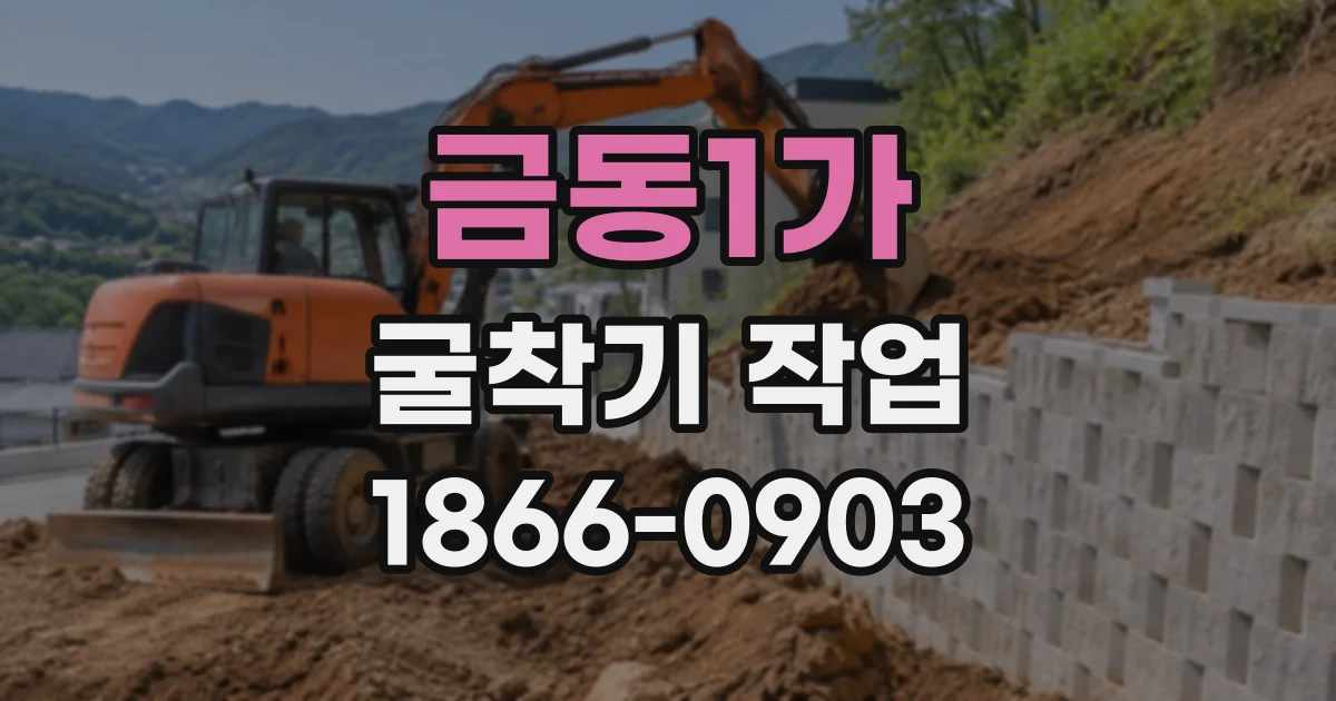 금동1가 굴착기작업