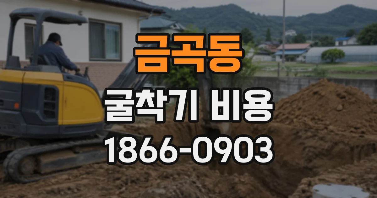 금곡동 굴착기비용
