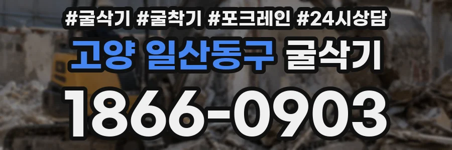 고양 일산동구 굴삭기