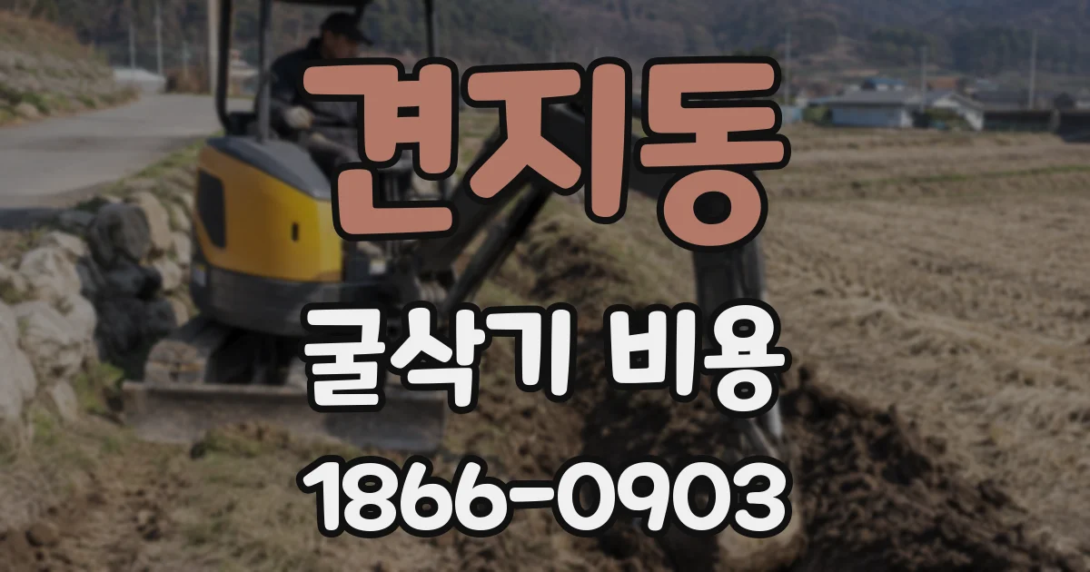 견지동 굴삭기 비용