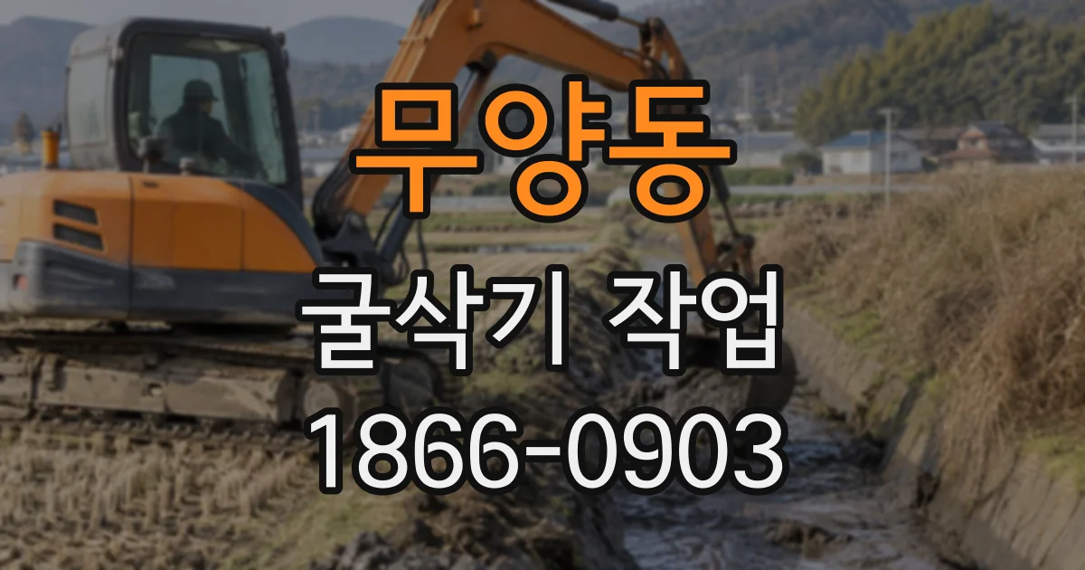 무양동 굴삭기작업