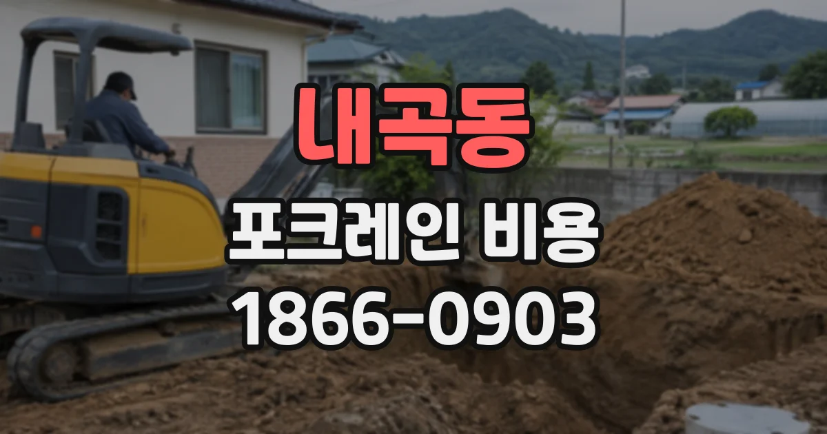 내곡동 포크레인비용
