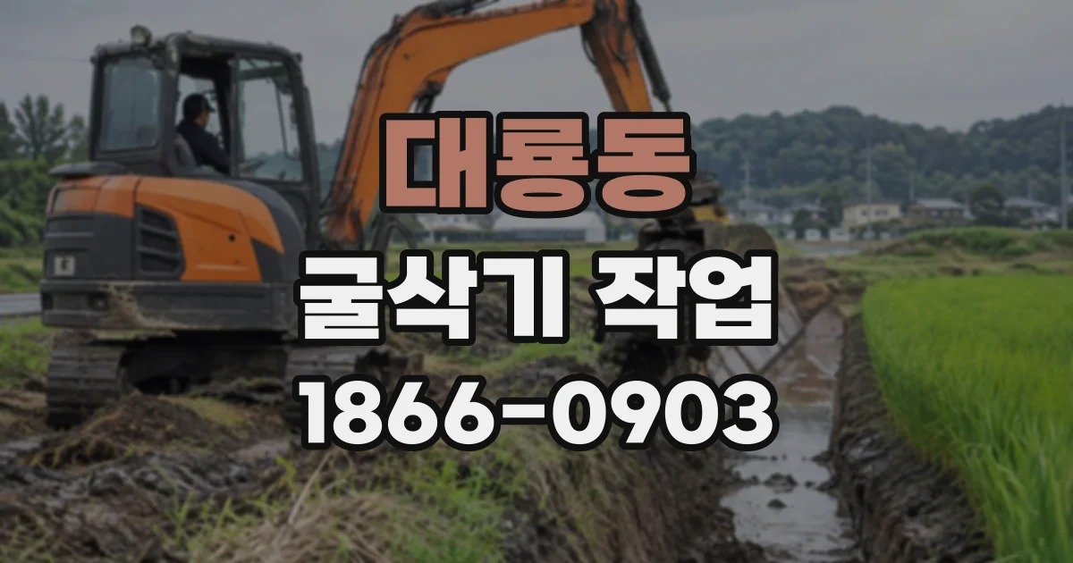 대룡동 굴삭기작업