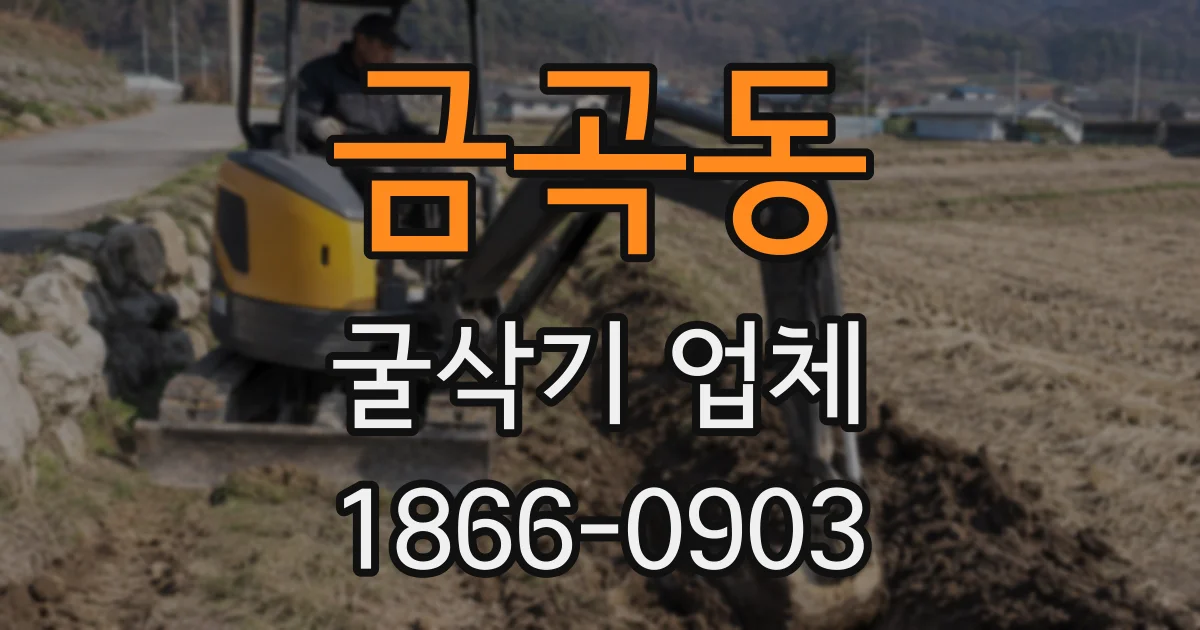 금곡동 굴삭기 업체