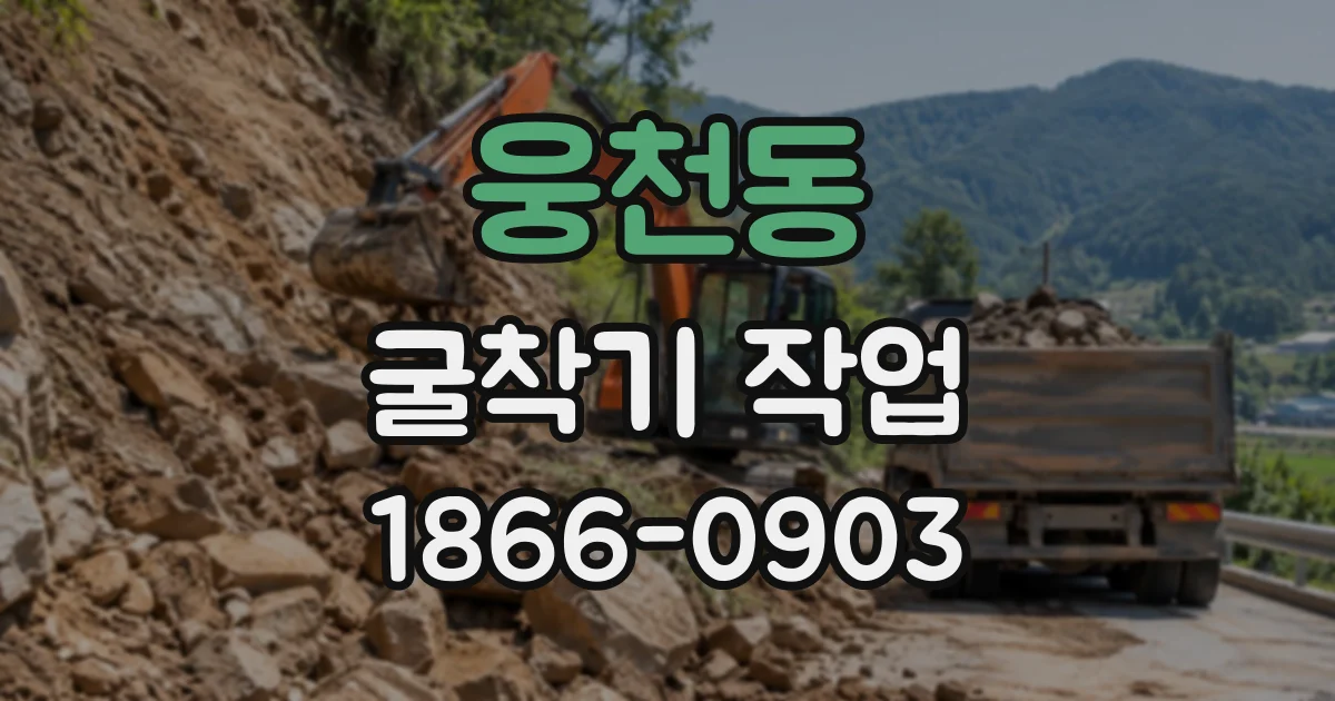 웅천동 굴착기작업