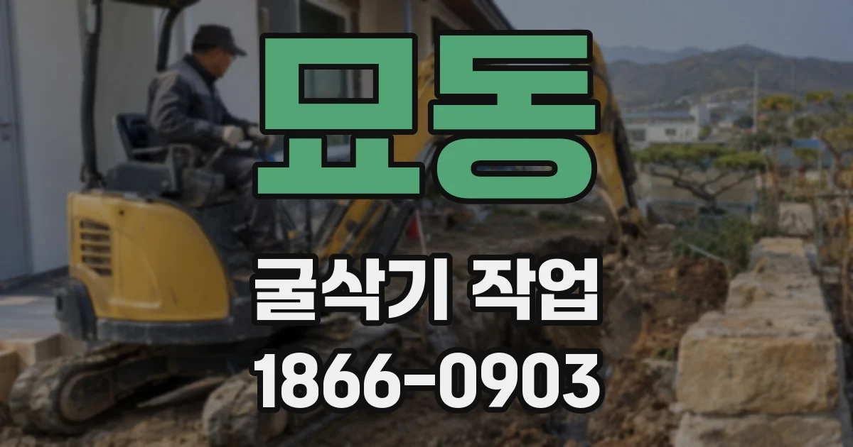 묘동 굴삭기 작업