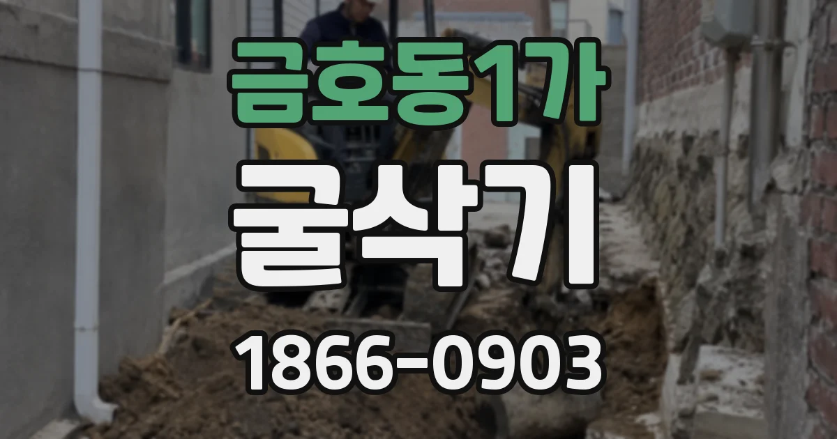 금호동1가 굴삭기