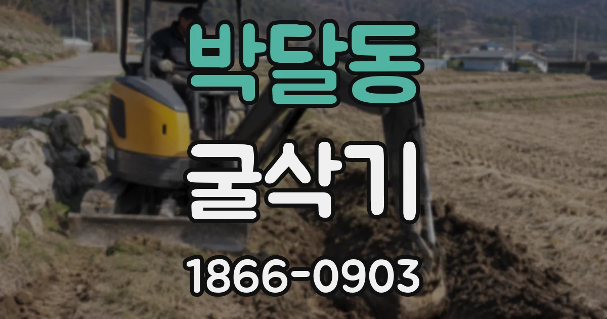 박달동 굴삭기