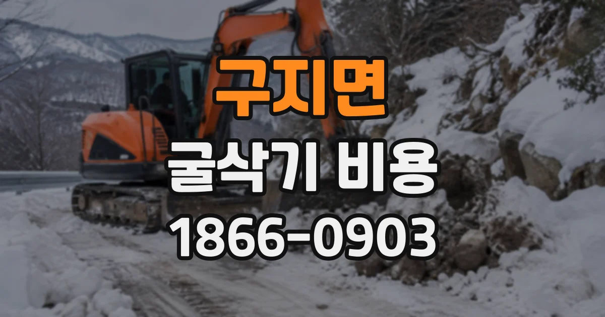 구지면 굴삭기비용