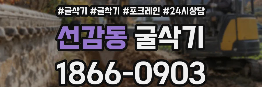 선감동 굴삭기
