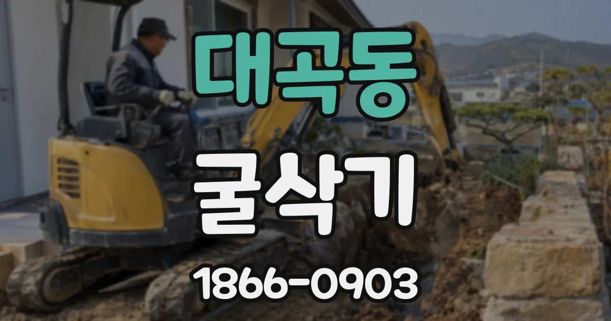 대곡동 굴삭기