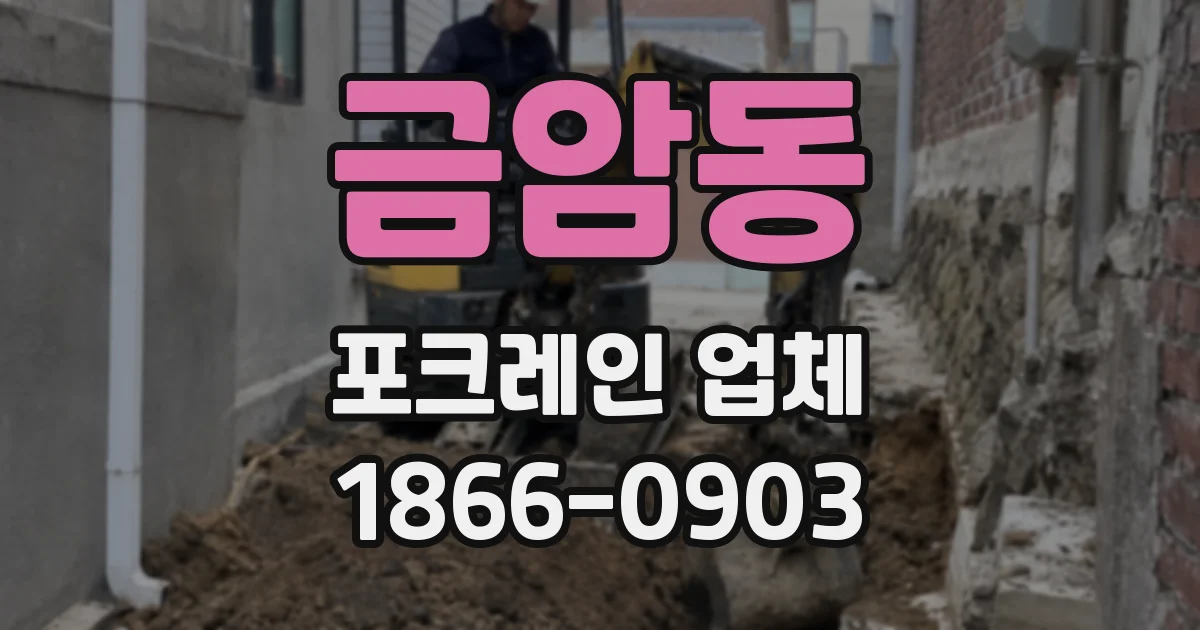금암동 포크레인 업체