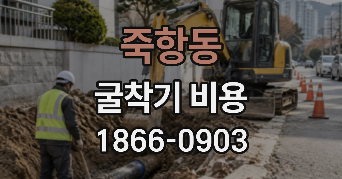죽항동 굴착기비용