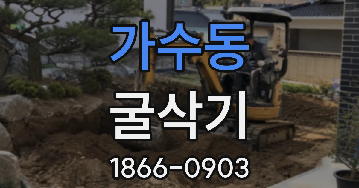 가수동 굴삭기