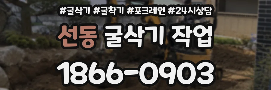 선동 굴삭기 작업
