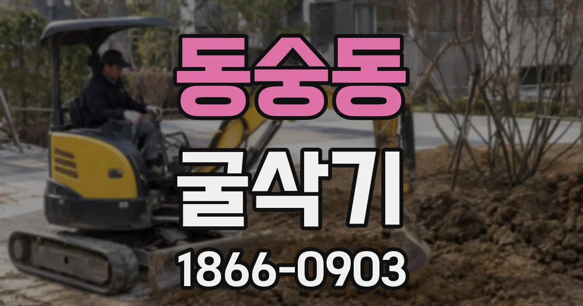 동숭동 굴삭기