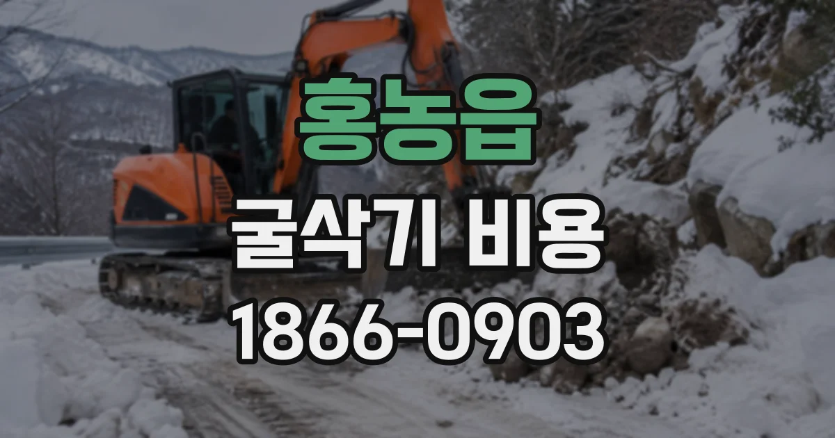 홍농읍 굴삭기비용