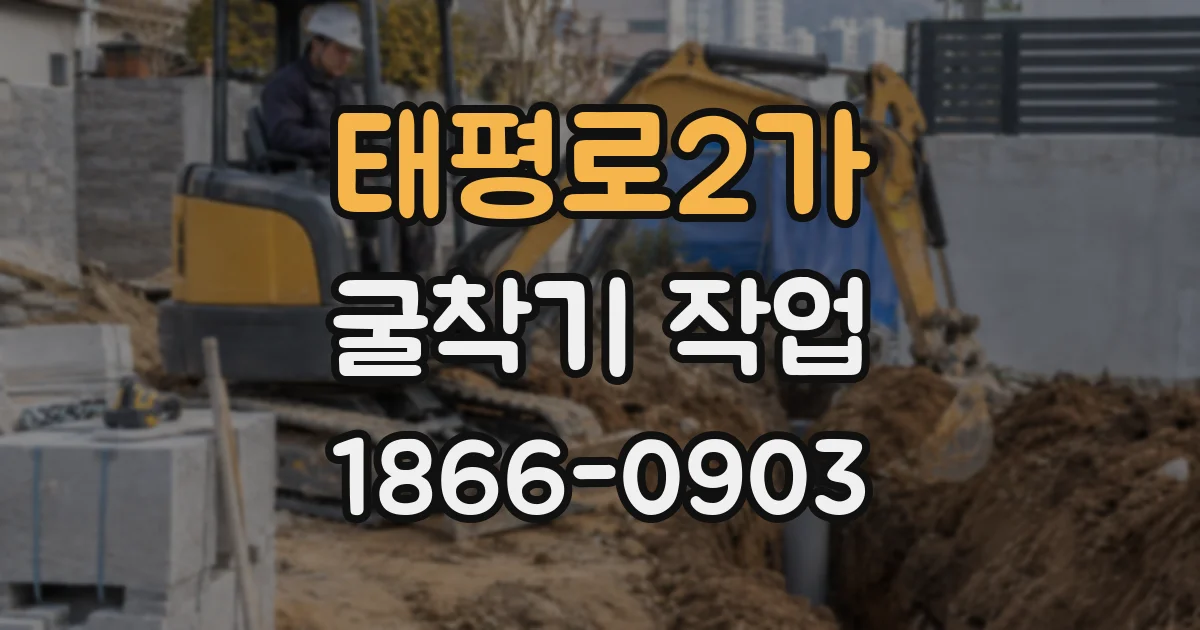 태평로2가 굴착기 작업