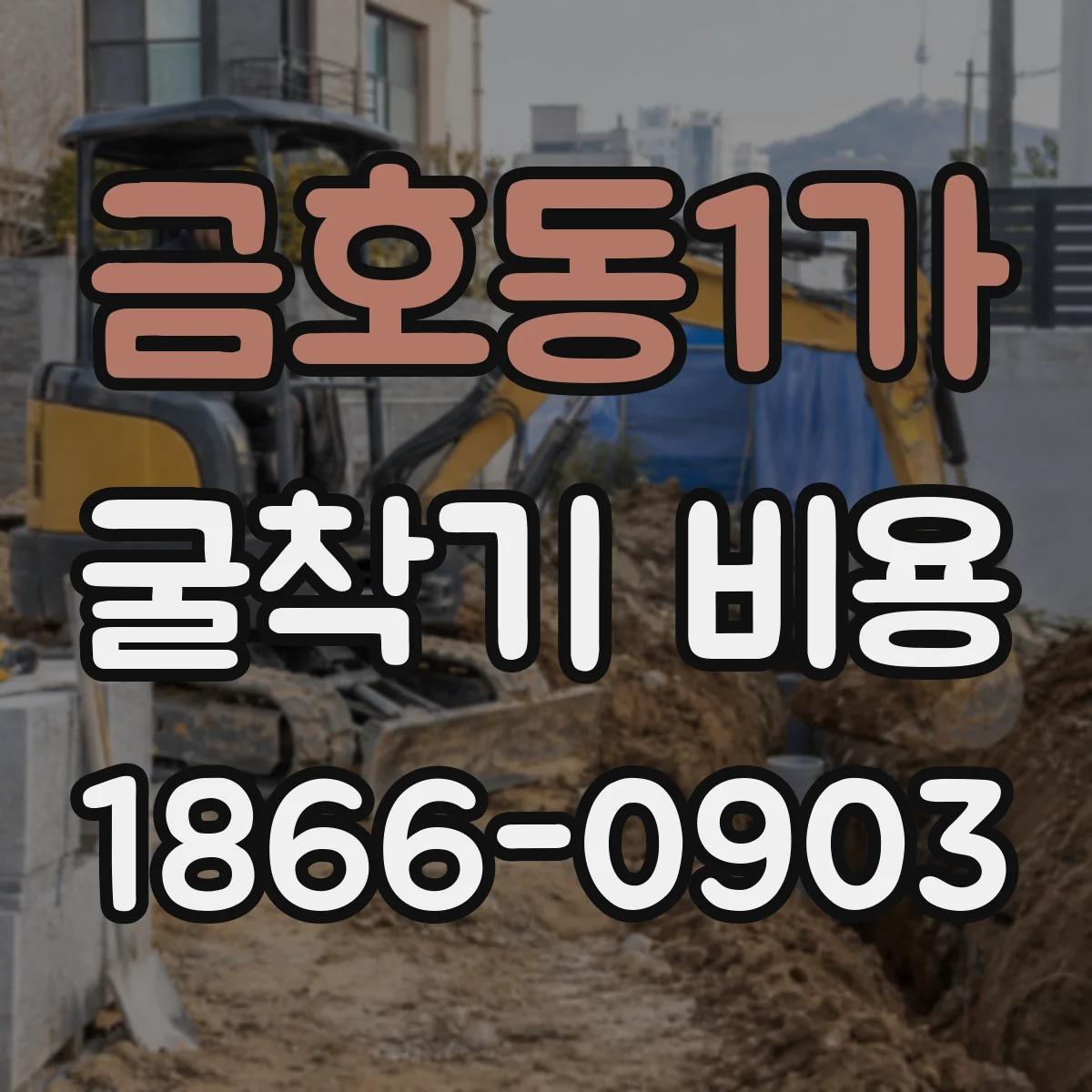 금호동1가 굴착기 비용