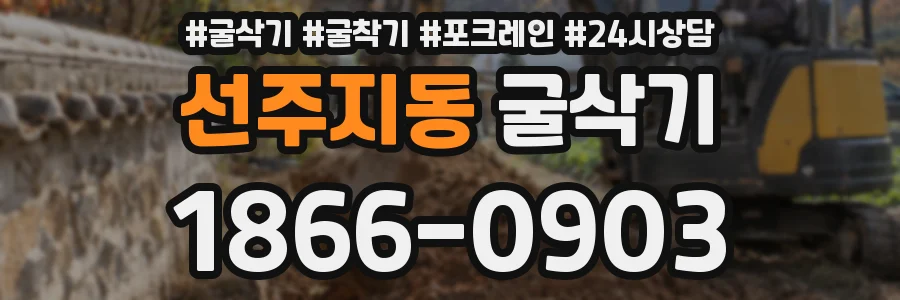 선주지동 굴삭기