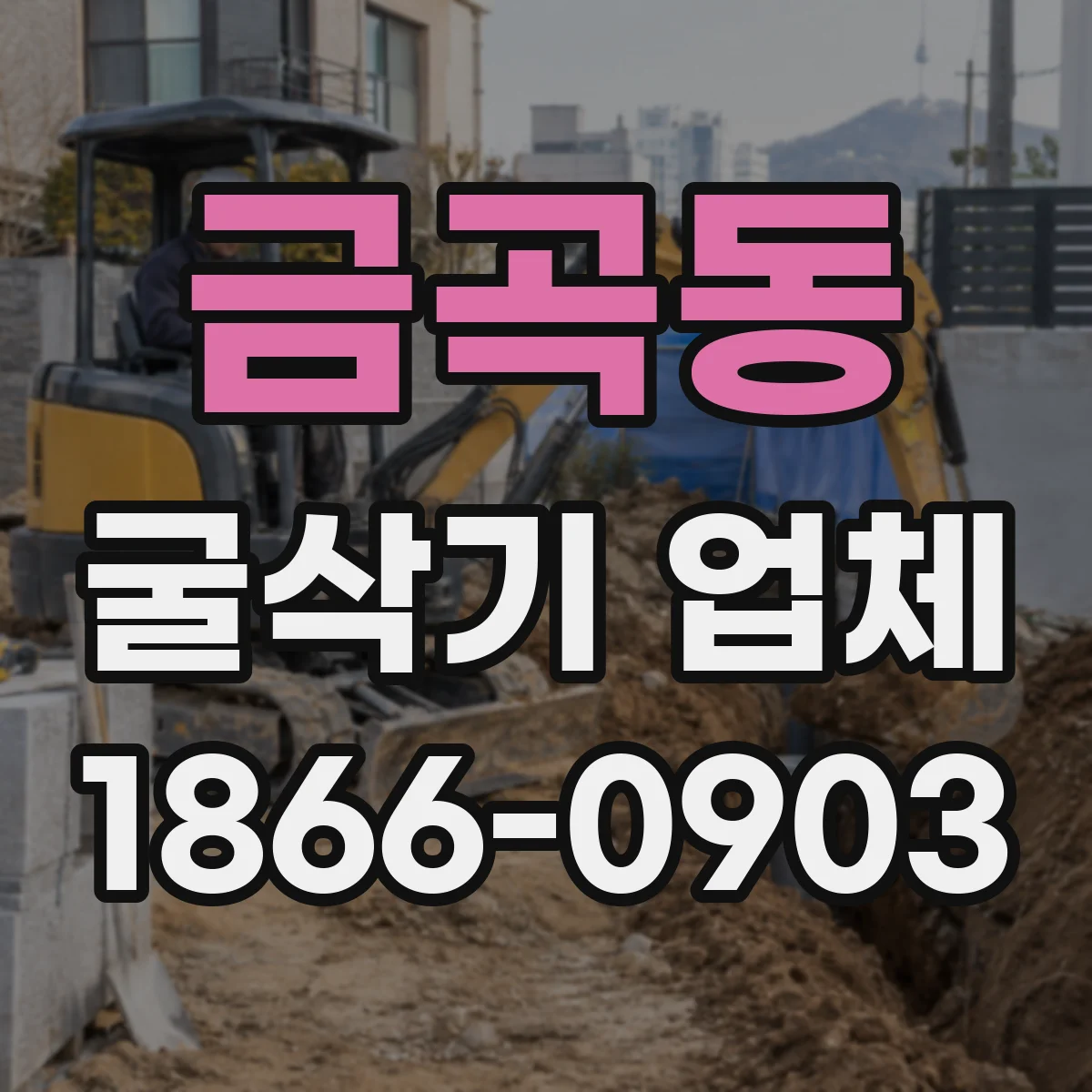 금곡동 굴삭기 업체