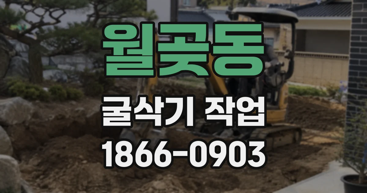 월곶동 굴삭기 작업