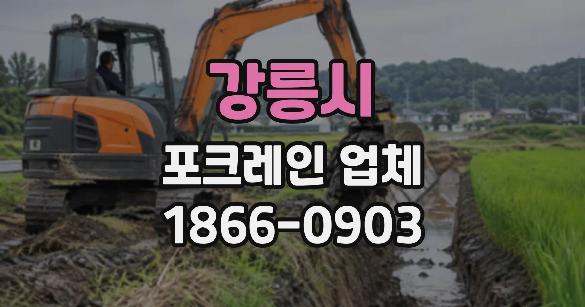 강릉시 포크레인업체