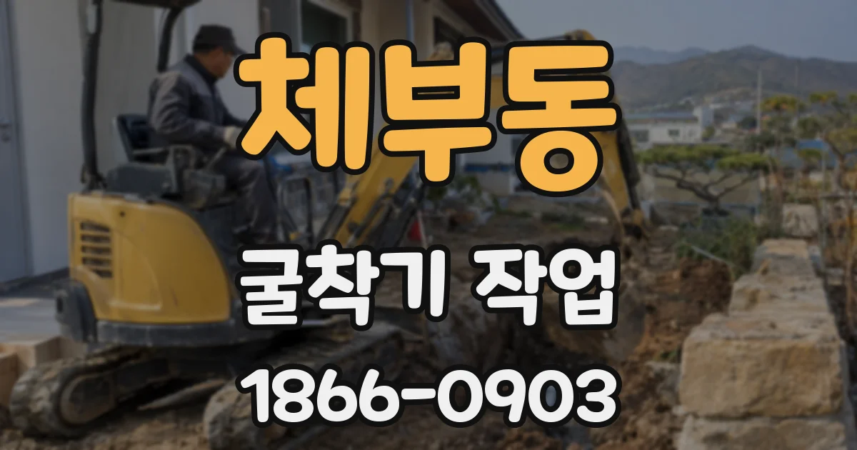 체부동 굴착기 작업