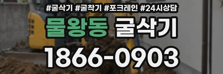 물왕동 굴삭기