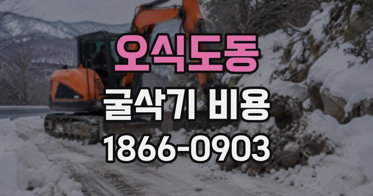 오식도동 굴삭기비용