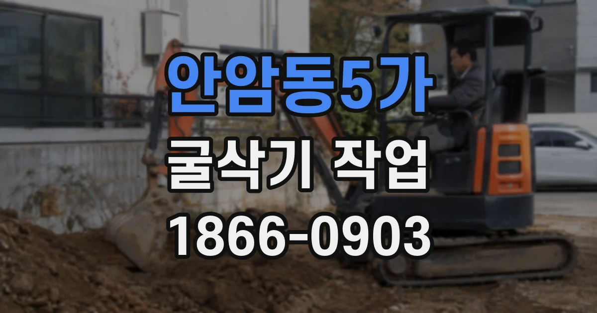 안암동5가 굴삭기 작업