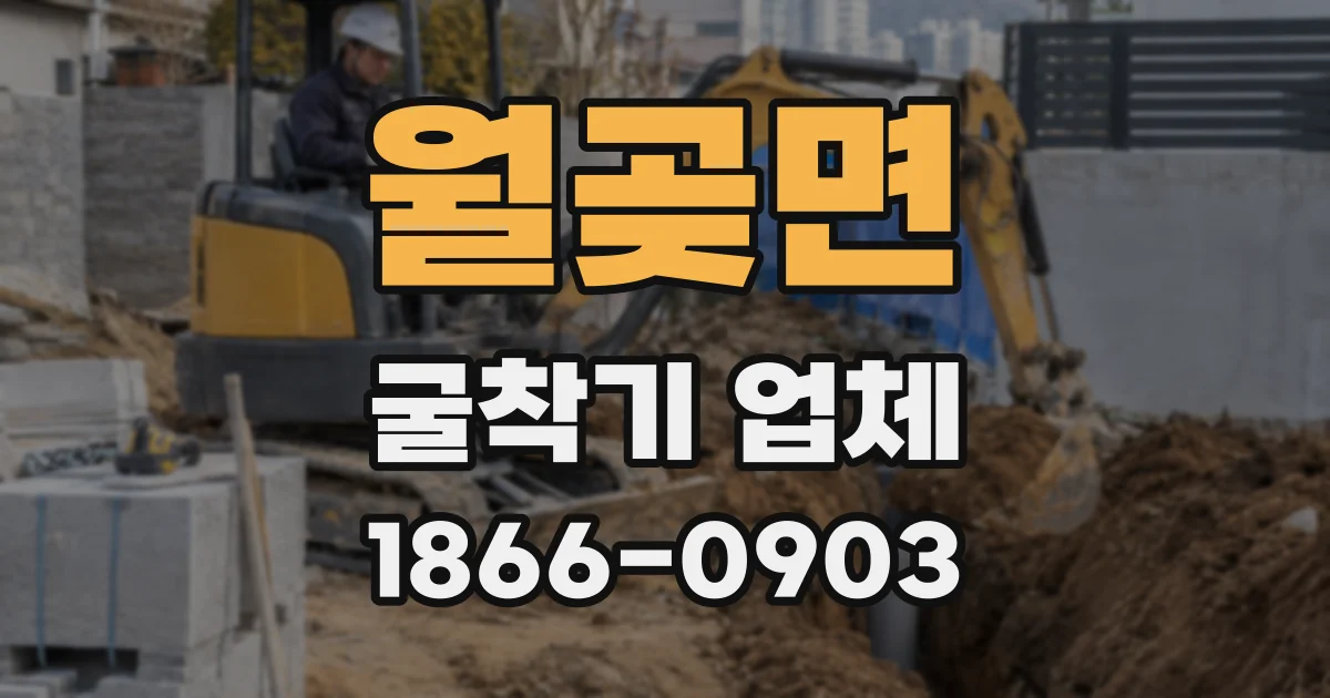 월곶면 굴착기 업체